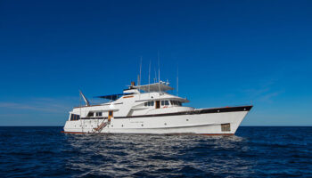 Beluga-yatch-enchanted-expeditions-05