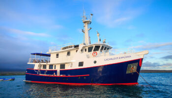 cachalote-explorer-exterior-enchanted-expeditions