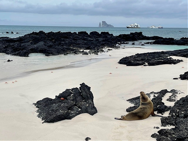 Playa Cerro Brujo beach on San Cristobal Island Galapagos, Ecuador