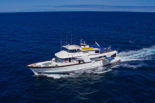 Beluga Motor Yacht Galapagos Islands Liveaboard Cruise