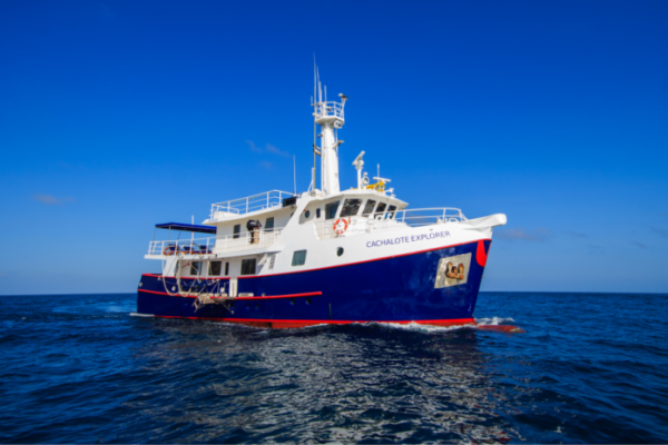 Cachalote Motor Yacht Galapagos Islands Cruises