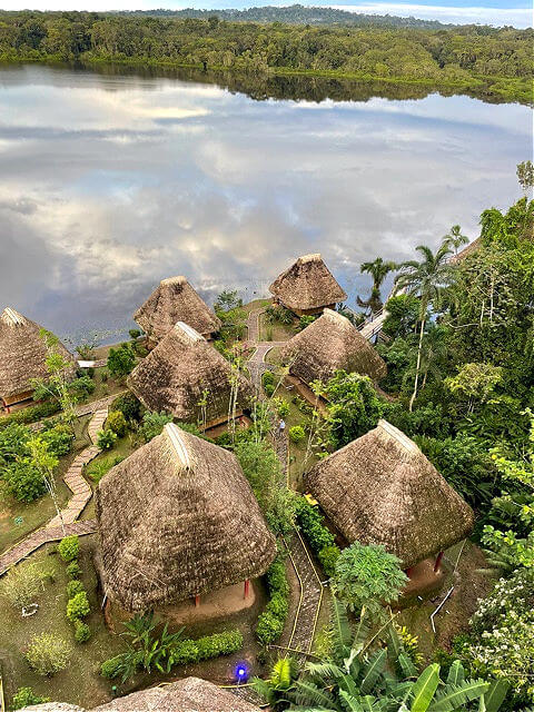 Napo Wildlife Center in Ecuador sustainable indigenous eco tourism in the Amazon jungle run by the Kichwa Añangu people