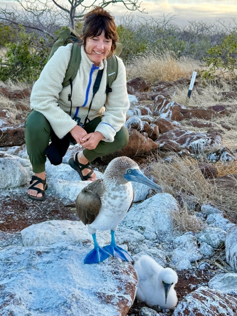 Lucy Cooke in Galapagos blue-footed booby bird